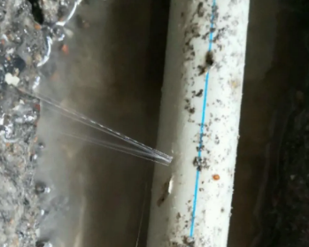 林甸卫生间测漏水多少钱