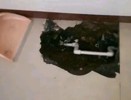 林甸卫生间测漏水多少钱