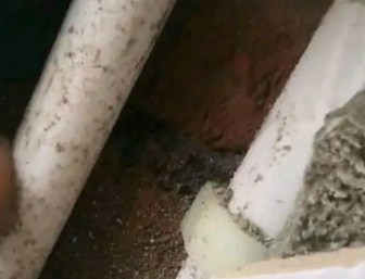 林甸卫生间测漏水哪家好
